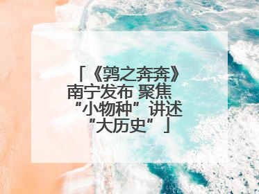 《鹑之奔奔》南宁发布 聚焦“小物种”讲述“大历史”