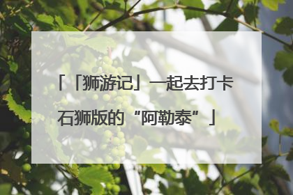 「狮游记」一起去打卡石狮版的“阿勒泰”