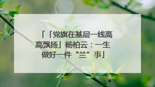 「党旗在基层一线高高飘扬」杨柏云：一生做好一件“兰”事