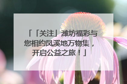 「关注」潍坊福彩与您相约凤溪地万物集，开启公益之旅！