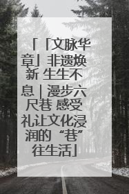 「文脉华章」非遗焕新 生生不息｜漫步六尺巷 感受礼让文化浸润的“巷”往生活
