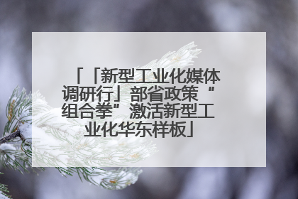 「新型工业化媒体调研行」部省政策“组合拳”激活新型工业化华东样板