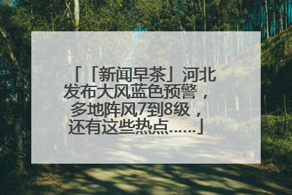 「新闻早茶」河北发布大风蓝色预警，多地阵风7到8级，还有这些热点……
