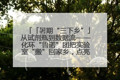 「暑期“三下乡”」从试剂瓶到数据流——化环“鲁诺”团把实验室“搬”回家乡，点亮桑梓求知路