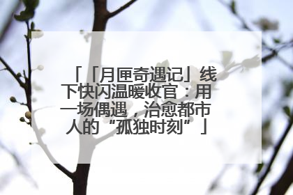 「月匣奇遇记」线下快闪温暖收官：用一场偶遇，治愈都市人的“孤独时刻”