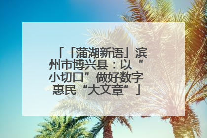 「蒲湖新语」滨州市博兴县：以“小切口”做好数字惠民“大文章”