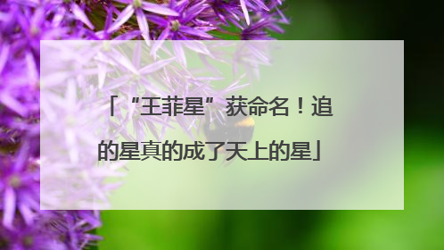 “王菲星”获命名！追的星真的成了天上的星