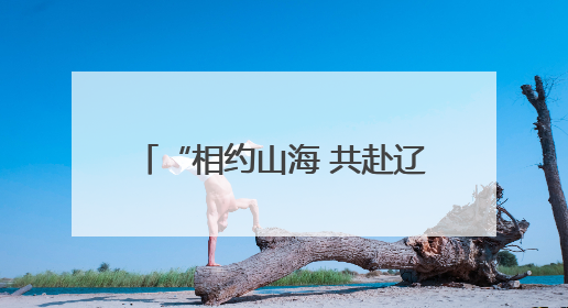 “相约山海 共赴辽宁”辽宁文体旅专场推介活动亮相韩国