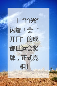 “竹光”闪耀！会“开口”的成都世运会奖牌，正式亮相