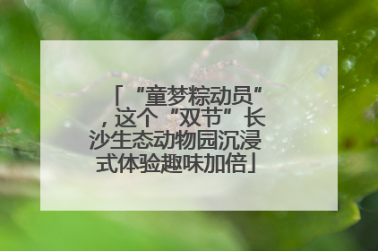 “童梦粽动员”，这个“双节”长沙生态动物园沉浸式体验趣味加倍