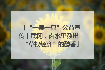 “一县一品”公益宣传丨武冈：卤水里熬出“草根经济”的醇香
