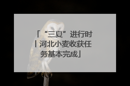 “三夏”进行时丨河北小麦收获任务基本完成