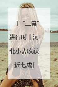 “三夏”进行时丨河北小麦收获近七成