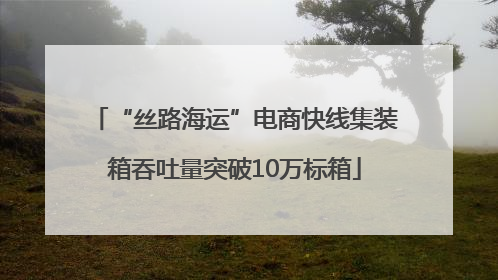 “丝路海运”电商快线集装箱吞吐量突破10万标箱