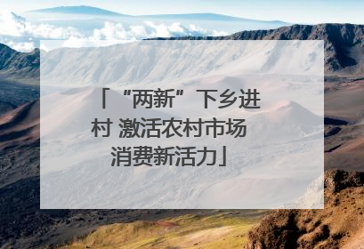 “两新”下乡进村 激活农村市场消费新活力