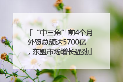 “中三角”前4个月外贸总额达5700亿，东盟市场增长强劲