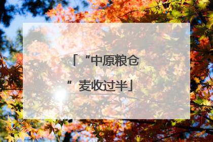 “中原粮仓”麦收过半