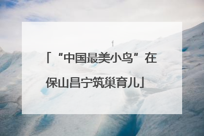 “中国最美小鸟”在保山昌宁筑巢育儿