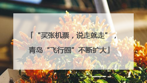 “买张机票，说走就走”，青岛“飞行圈”不断扩大