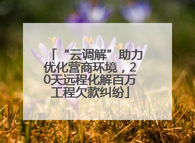 “云调解”助力优化营商环境，20天远程化解百万工程欠款纠纷