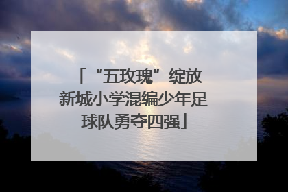 “五玫瑰”绽放 新城小学混编少年足球队勇夺四强