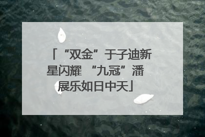 “双金”于子迪新星闪耀 “九冠”潘展乐如日中天