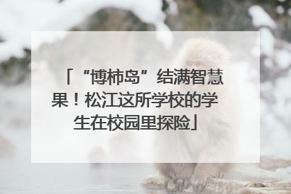 “博柿岛”结满智慧果！松江这所学校的学生在校园里探险