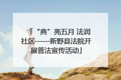“典”亮五月 法润社区——新野县法院开展普法宣传活动