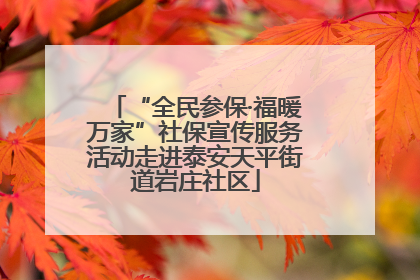 “全民参保·福暖万家”社保宣传服务活动走进泰安天平街道岩庄社区