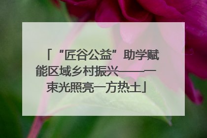 “匠谷公益”助学赋能区域乡村振兴——一束光照亮一方热土