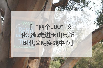 “四个100”文化导师走进玉山县新时代文明实践中心
