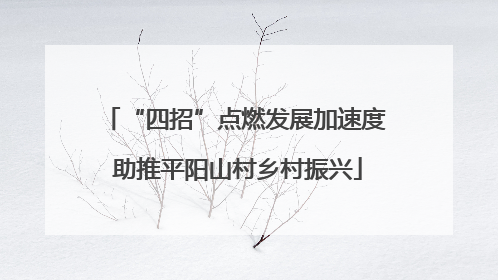 “四招”点燃发展加速度 助推平阳山村乡村振兴