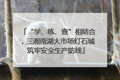 “学、练、查”相结合，三湘南湖大市场灯石城筑牢安全生产防线