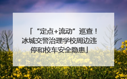“定点+流动”巡查！冰城交警治理学校周边违停和校车安全隐患