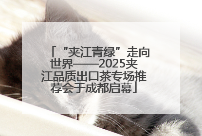 “夹江青绿”走向世界——2025夹江品质出口茶专场推荐会于成都启幕