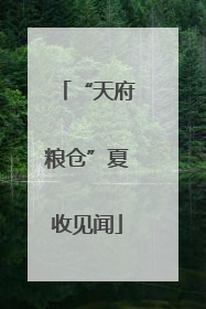 “天府粮仓”夏收见闻