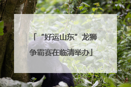 “好运山东”龙狮争霸赛在临清举办