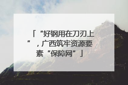 “好钢用在刀刃上”，广西筑牢资源要素“保障网”