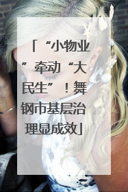 “小物业”牵动“大民生”！舞钢市基层治理显成效