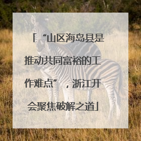 “山区海岛县是推动共同富裕的工作难点”，浙江开会聚焦破解之道