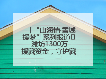 “山海情·雪域援梦”系列报道⑪ 潍坊1300万援藏资金，守护藏区群众健康“最后一公里”
