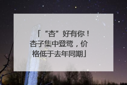 “杏”好有你！杏子集中登鹭，价格低于去年同期