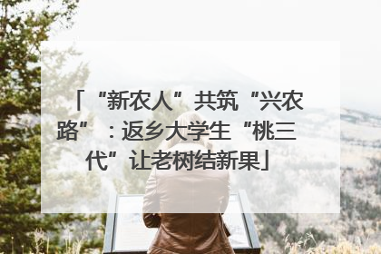 “新农人”共筑“兴农路”：返乡大学生“桃三代”让老树结新果