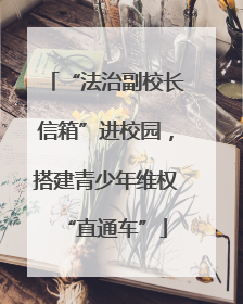 “法治副校长信箱”进校园，搭建青少年维权“直通车”