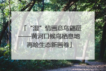 “湿”情画意鸟翩跹——黄河口候鸟栖息地再绘生态新画卷