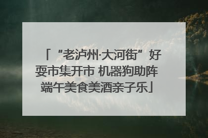 “老泸州·大河街”好耍市集开市 机器狗助阵端午美食美酒亲子乐