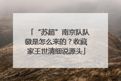 “苏超”南京队队徽是怎么来的？收藏家王世清细说源头