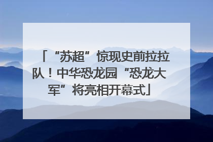 “苏超”惊现史前拉拉队！中华恐龙园“恐龙大军”将亮相开幕式