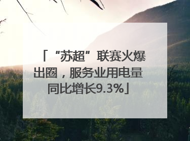 “苏超”联赛火爆出圈，服务业用电量同比增长9.3%