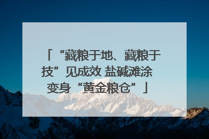 “藏粮于地、藏粮于技”见成效 盐碱滩涂变身“黄金粮仓”